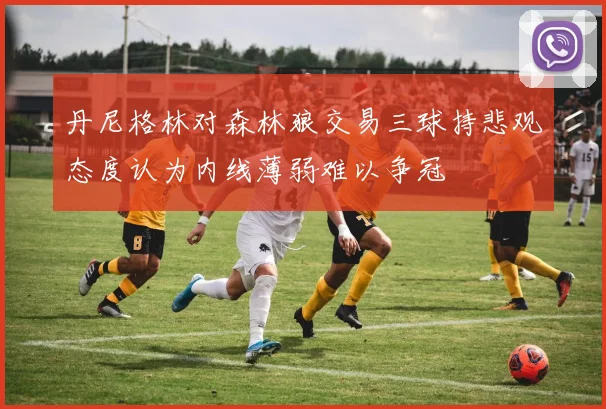 丹尼格林对森林狼交易三球持悲观态度认为内线薄弱难以争冠