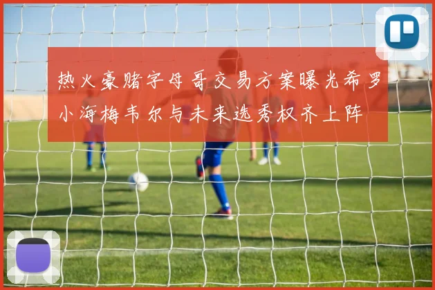 热火豪赌字母哥交易方案曝光希罗小海梅韦尔与未来选秀权齐上阵